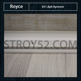 Дуб Аргенто 831